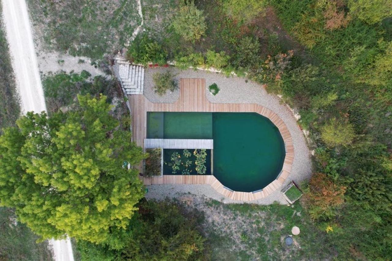 Maison Terre Les Cabanes De Fallot - Sauna Bain-Froid Piscine Naturelle L'isle-Bouzon Buitenkant foto