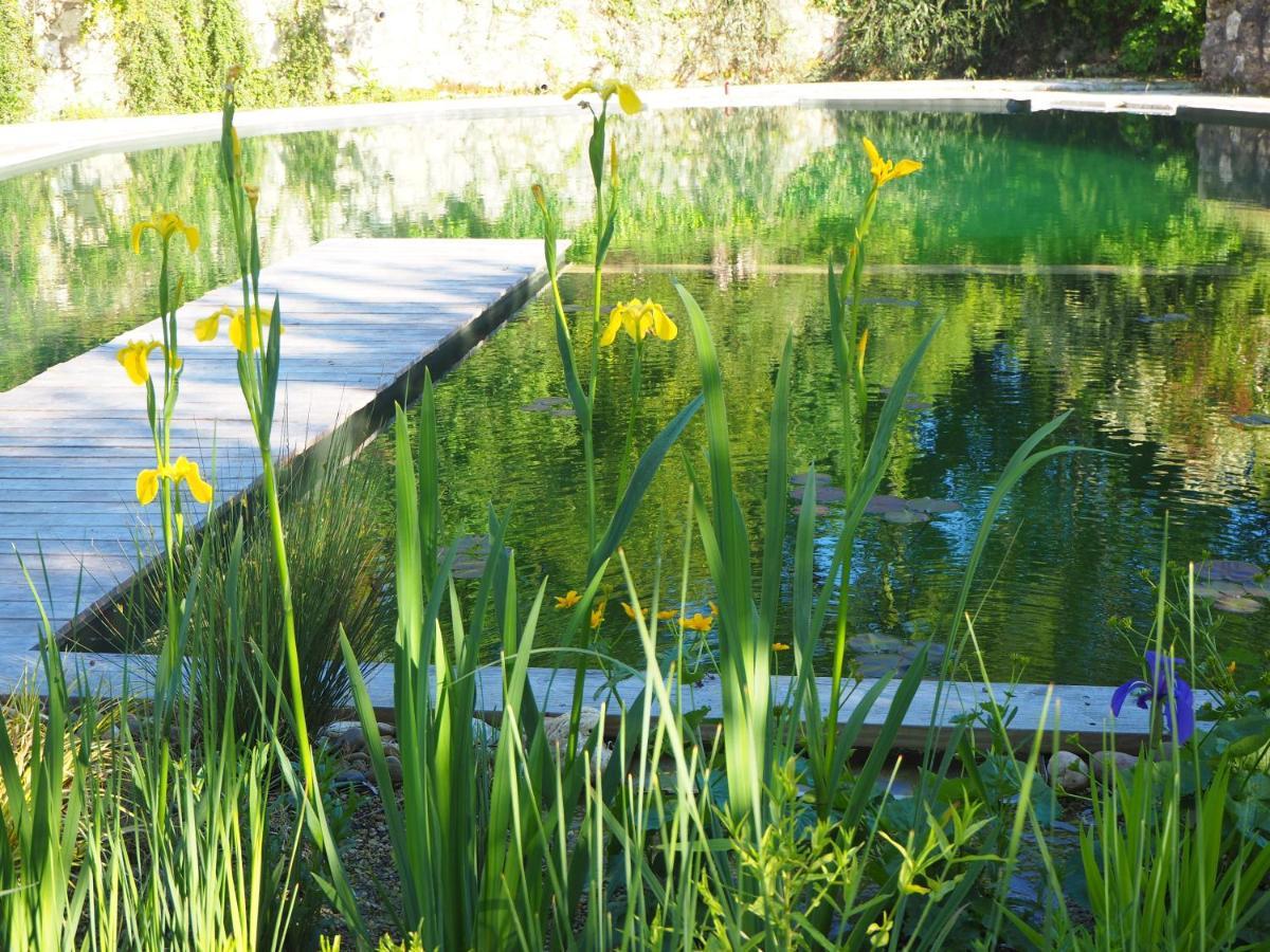 Maison Terre Les Cabanes De Fallot - Sauna Bain-Froid Piscine Naturelle L'isle-Bouzon Buitenkant foto